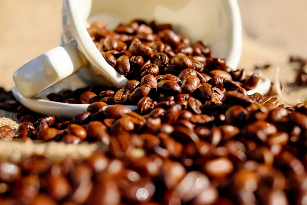 Imagen de el cultivo del café: tradición, técnica y sostenibilidad en una taza